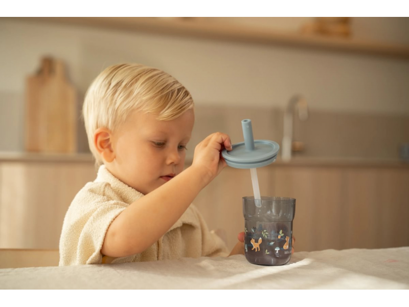 Kelímek s brčkem 250 ml Forest Friends