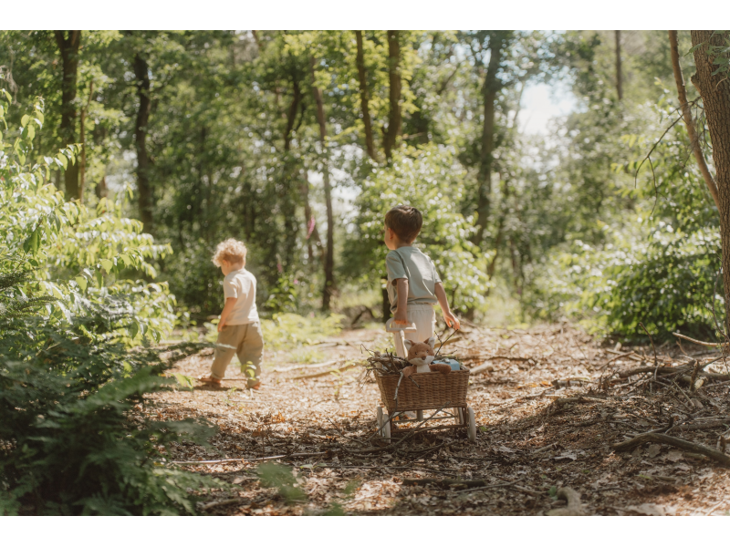 Liška plyšová Forest Friends